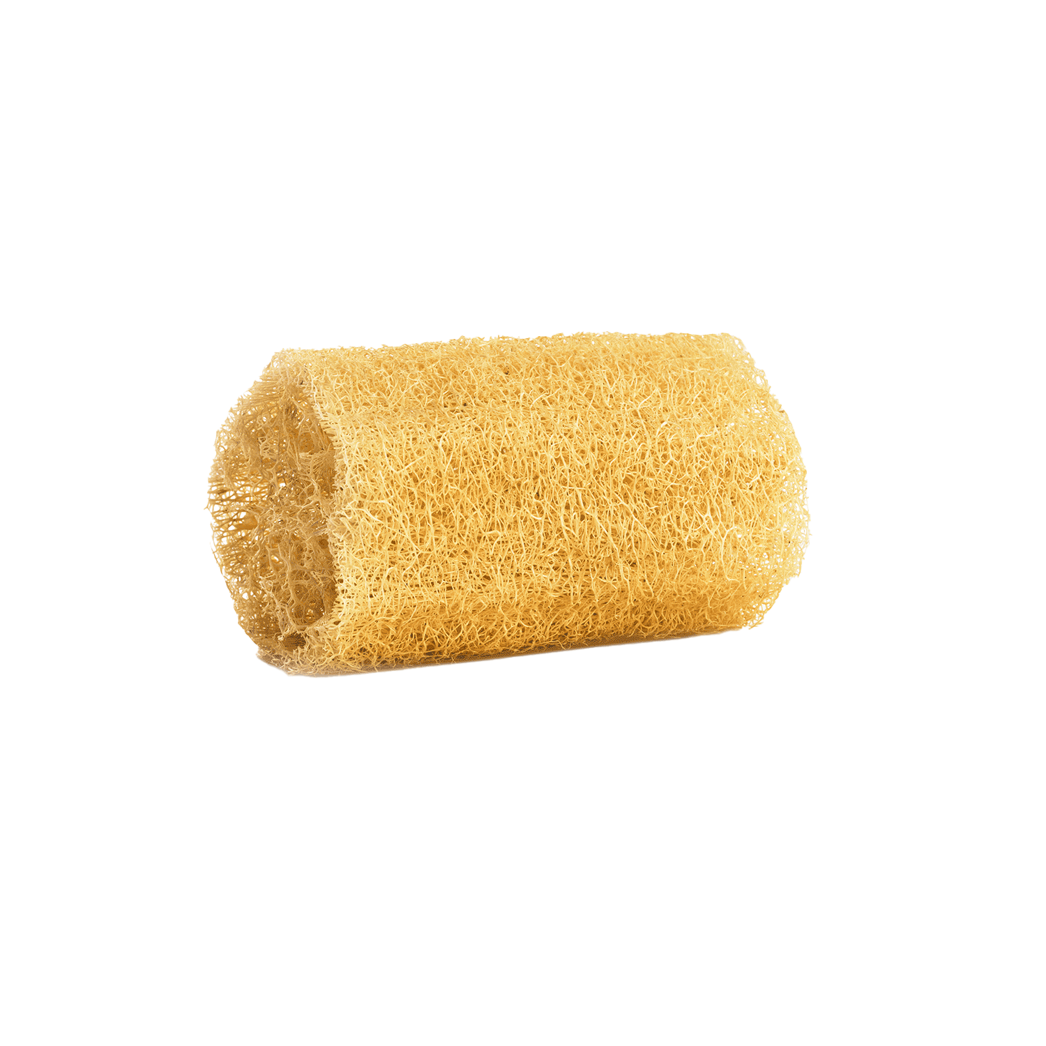 Loofah Sponge