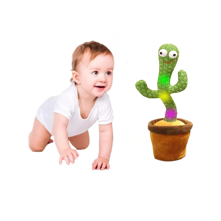 Baby Dancing Cactus